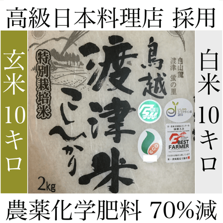 《高級店採用》蛍の里「渡津米」セット 白米10kg＋玄米10kg・農薬化学肥料70%減