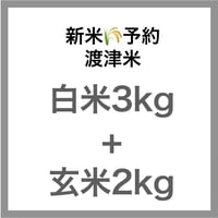 【新米予約🌾今秋産】「渡津米」セット 白米3kg＋玄米2kg・農薬化学肥料70%減