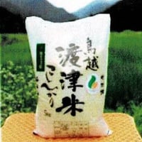 《高級店採用》蛍の里「渡津米」セット 白米10kg＋玄米10kg・農薬化学肥料70%減
