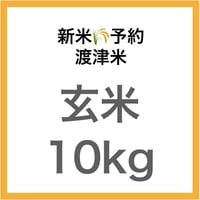【新米予約🌾今秋産】「渡津米」玄米10kg《高級日本料理店採用》・農薬化学肥料70%減