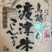 《高級日本料理店採用》蛍の里「渡津米」白米5kg・農薬化学肥料70%減