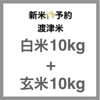 【新米予約🌾今秋産】「渡津米」セット 白米10kg＋玄米10kg・農薬化学肥料70%減