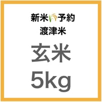 【新米予約🌾今秋産】「渡津米」玄米5kg《高級日本料理店採用》・農薬化学肥料70%減