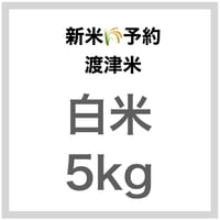 【新米予約🌾今秋産】「渡津米」白米5kg《高級日本料理店採用》・農薬化学肥料70%減