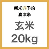 【新米予約🌾今秋産】「渡津米」玄米20kg《高級日本料理店採用》・農薬化学肥料70%減