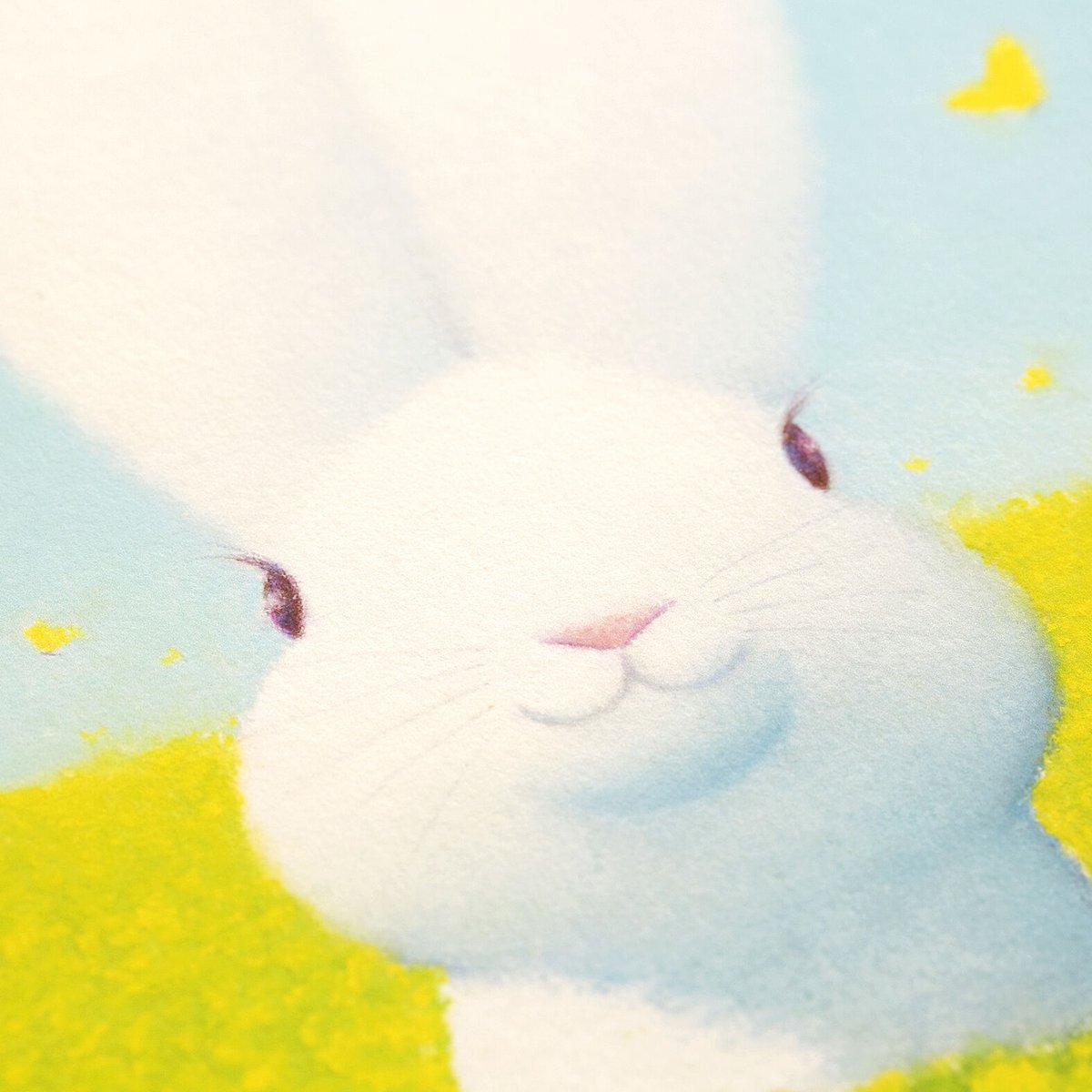 絵画 リトグラフ版画 シ―ト（マ−ジンなし） 【公式通販】