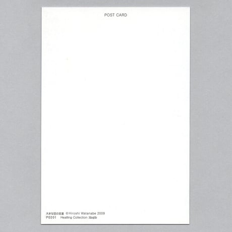 Post Card ポストカード「大きな空の友達」