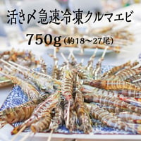 鳴門クルマエビ 750g（急速冷凍　お刺身OK）15㎝～18㎝前後　約18〜27尾