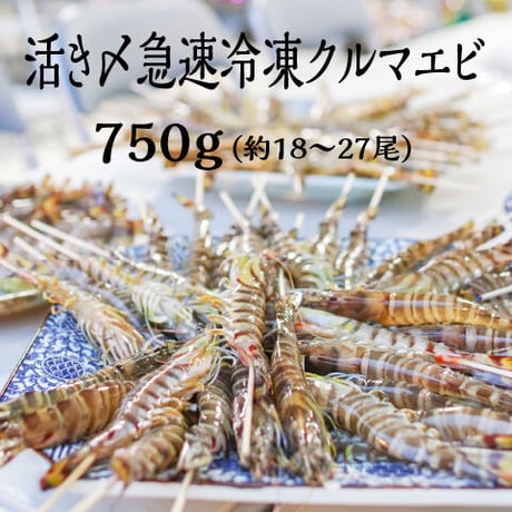 鳴門クルマエビ 750g（急速冷凍　お刺身OK）15㎝～18㎝前後　約18〜27尾