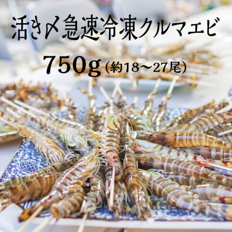 鳴門クルマエビ 750g（急速冷凍 お刺身OK）15㎝～18㎝前後 約18〜27尾
