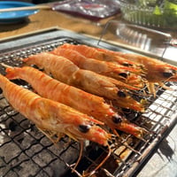 鳴門クルマエビ 小サイズ３３０g（活き）約１０㎝１０g前後 約２５〜３５尾