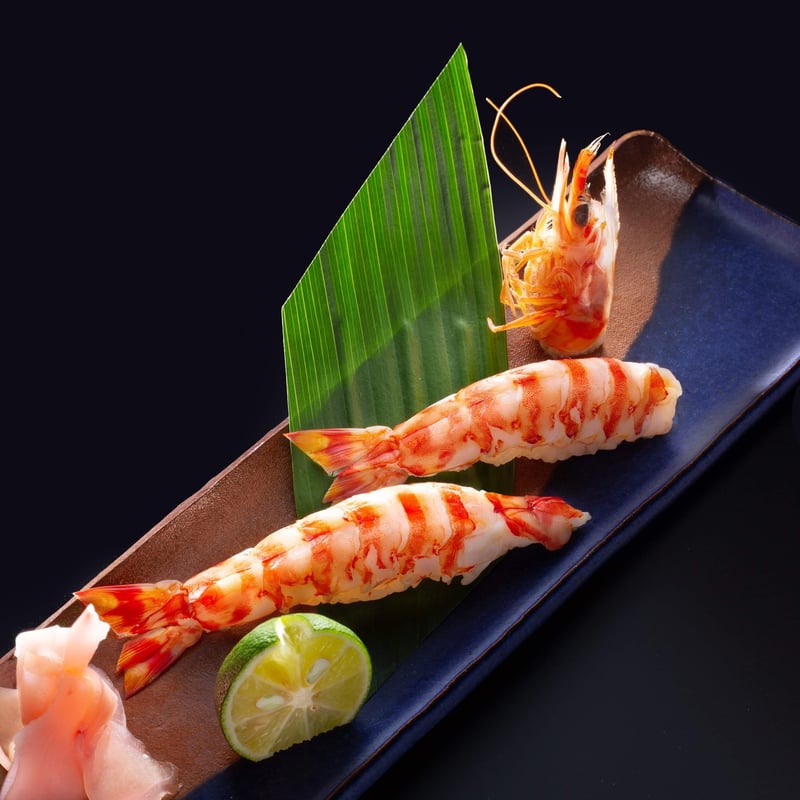 鳴門クルマエビ 500g（急速冷凍 お刺身OK）15㎝～18㎝前後 約12〜17尾