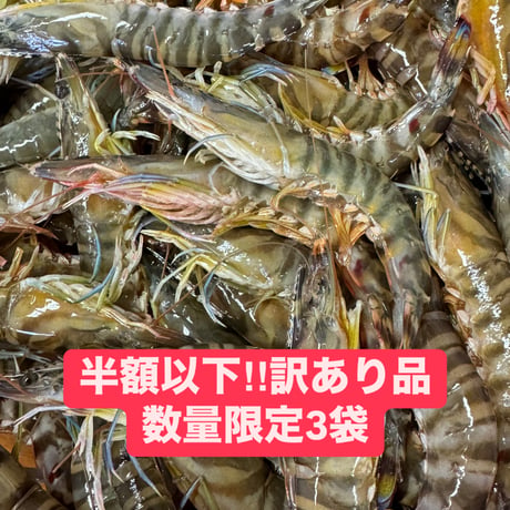 限定訳有り品‼︎加熱用鳴門クルマエビ500g20尾前後入り3袋　計1.5Kg