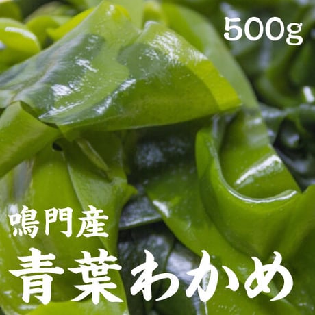 【１袋500ｇ】鳴門産 青葉わかめ ｜湯通し塩蔵わかめ