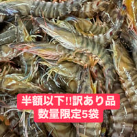 限定訳有り品‼︎加熱用鳴門クルマエビ500g20尾前後入り5袋　計2.5Kg