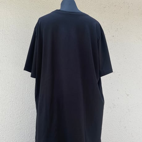 Asymmetry Shadow Over Silhouette Black Tee/F266