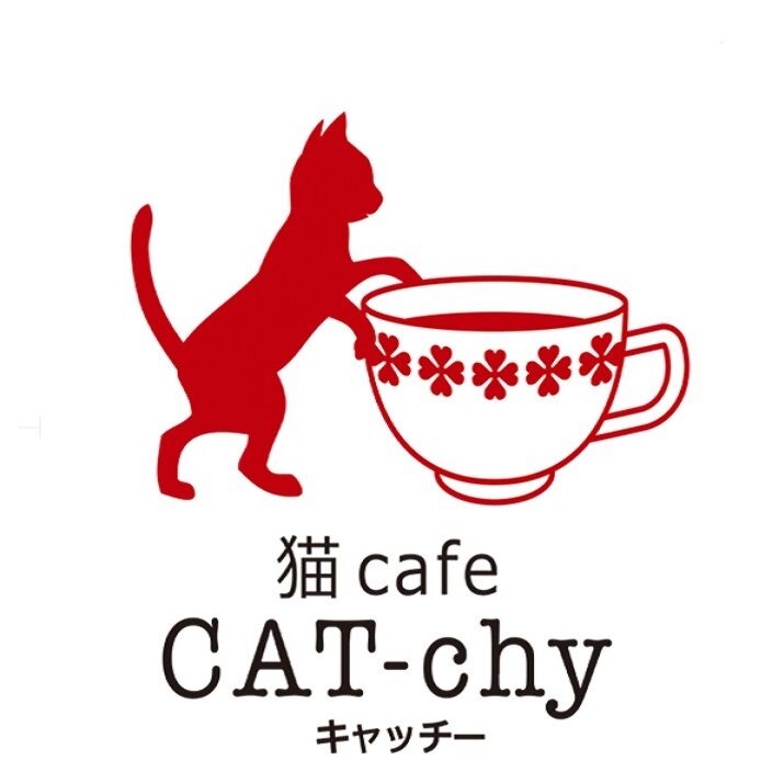 猫カフェキャッチー