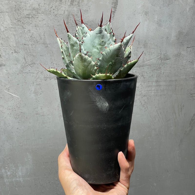 【11/16限定価格】本田あつみ 作 鳥の花器 162424746.jpg?cmsp_timestamp=