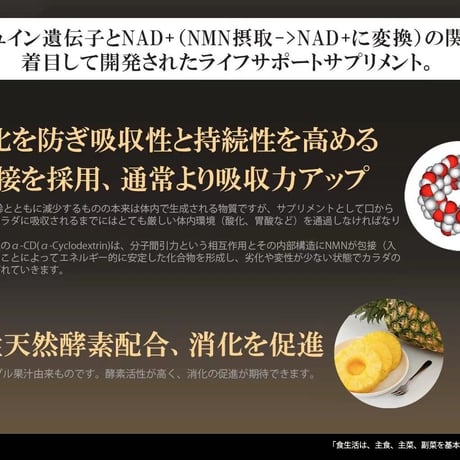 NMN DDS 9000  定期便(月々5%OFF)
