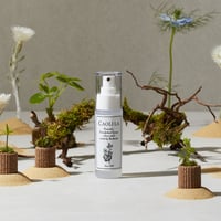 【2本セット】CAOLI LA  新緑の香り＆シトラスの香り