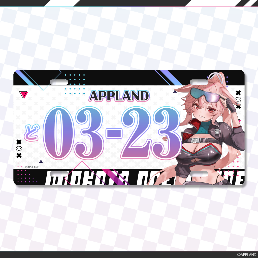 レースクイーングッズ】ナンバープレート風アルミプレート | APPLAND