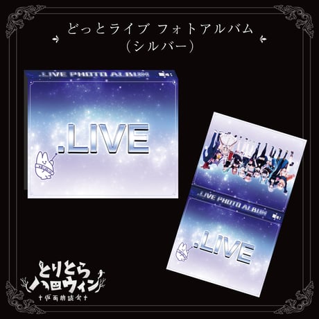 【在庫販売】 どっとライブ フォトアルバム（シルバー）