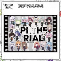 【事後販売 VPI THE TRIAL】B6アクリルパネル