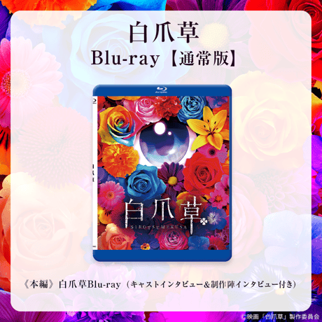 【映画 白爪草】Blu-ray