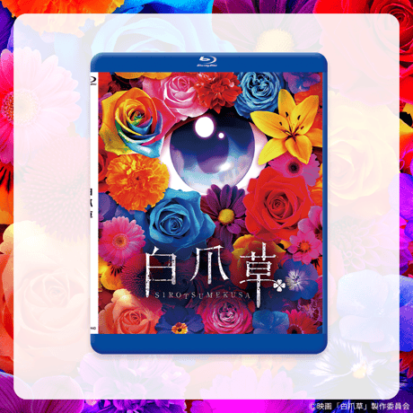【映画 白爪草】Blu-ray