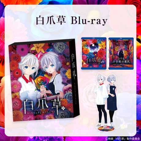 【映画 白爪草】Blu-ray
