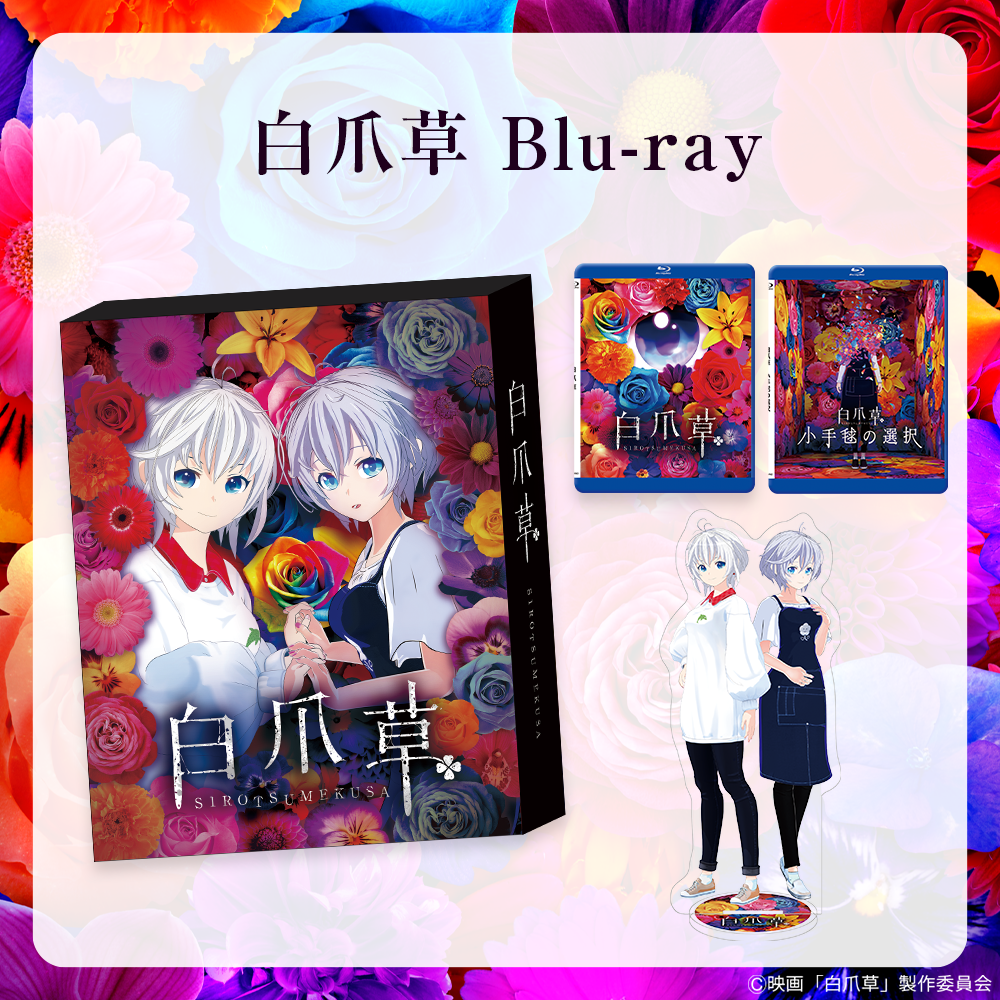 白蛇：縁起 Blu-ray(豪華版) 白蛇：縁起（数量限定生産／豪華版） Blu