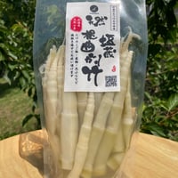 [【北海道】天然山菜/根曲がり竹の塩漬け