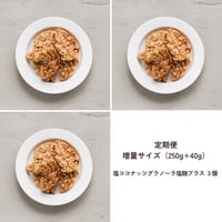 【定期便】《40g増量》塩ココナッツグラノーラ塩麹プラス 3個セット