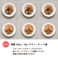 【定期便】《40g増量》フルーツナッツグラノーラマカプラス３個 + 塩ココナッツグラノーラ塩麹プラス３個