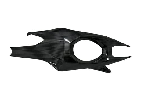 EXTREME COMPONENTS GLOSSY CARBON SWINGARM PROTECTIONS DUCATI PANIGALE V4 / S 2025