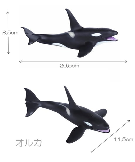 シーアニマル・オブジェ