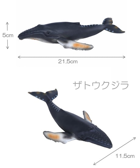 シーアニマル・オブジェ