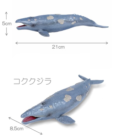 シーアニマル・オブジェ