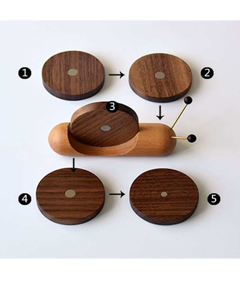 【かたつむり】ページ 貝標本 カリマンタン島の75mm大型カタツムリ