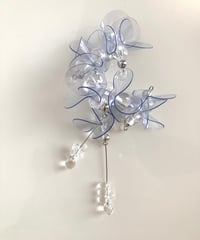 hydrangea