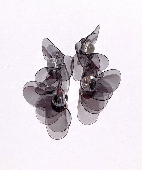 bloom ones