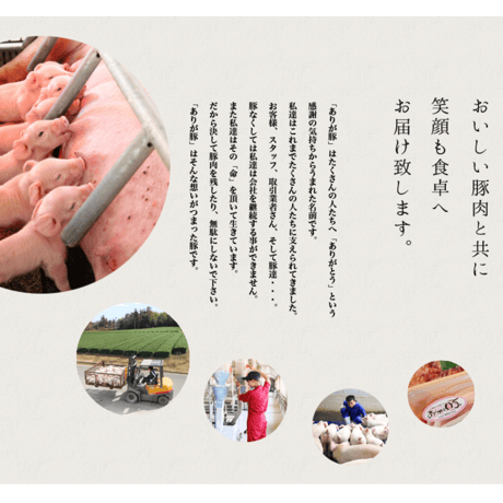 【李家のジャンボ焼き餃子】皮から手作りの素材にこだわった中国本場の味！