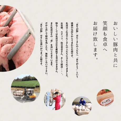 李家の三鮮餃子【冷凍生餃子】