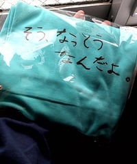 そう、なっとうなんだよ。Tシャツ（ミントグリーン）