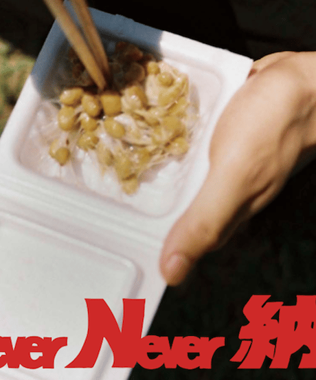 納豆マガジンvol.1