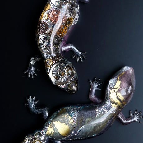 レオパードゲッコー | STORES