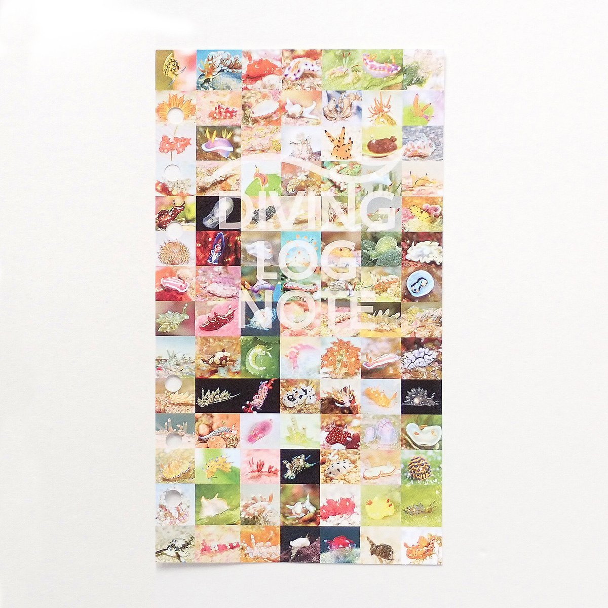 うみうし98種 リフィル ネオンカラー4色セット | ダイビングログ