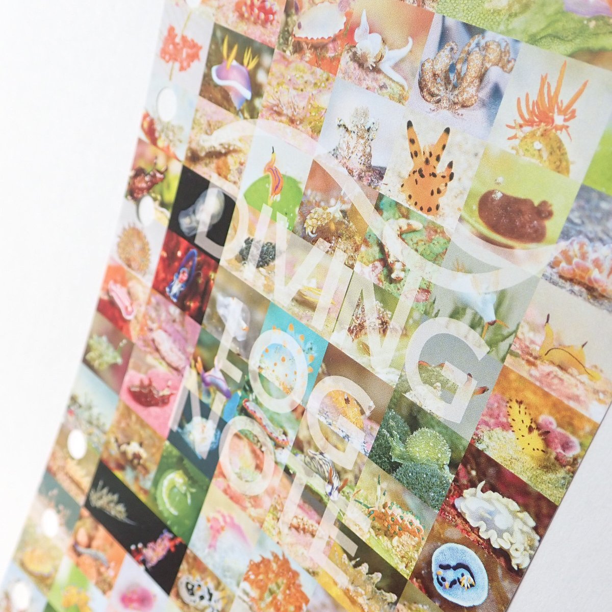 うみうし98種 リフィル ネオンカラー4色セット | ダイビングログ