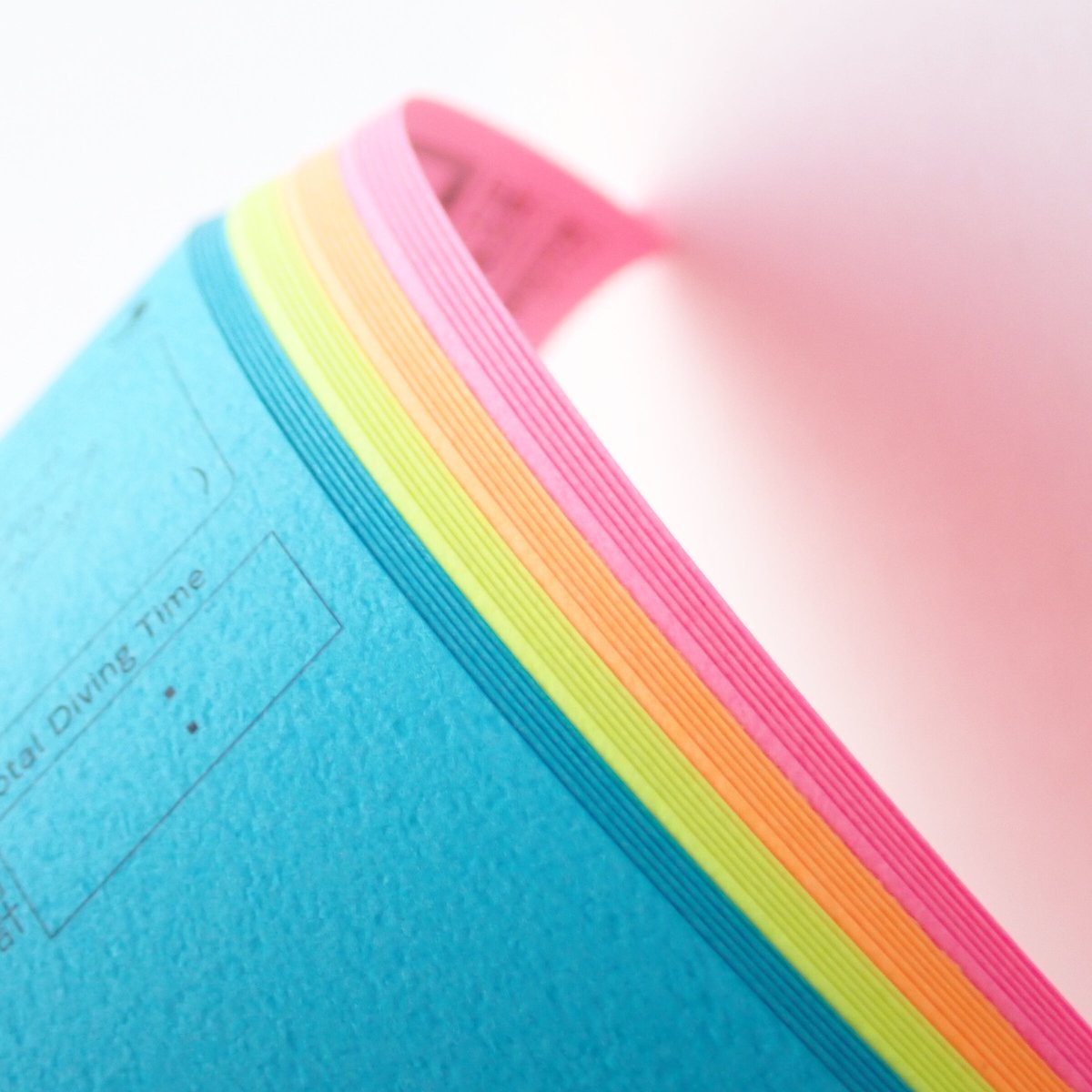 うみうし98種 リフィル ネオンカラー4色セット | ダイビングログ