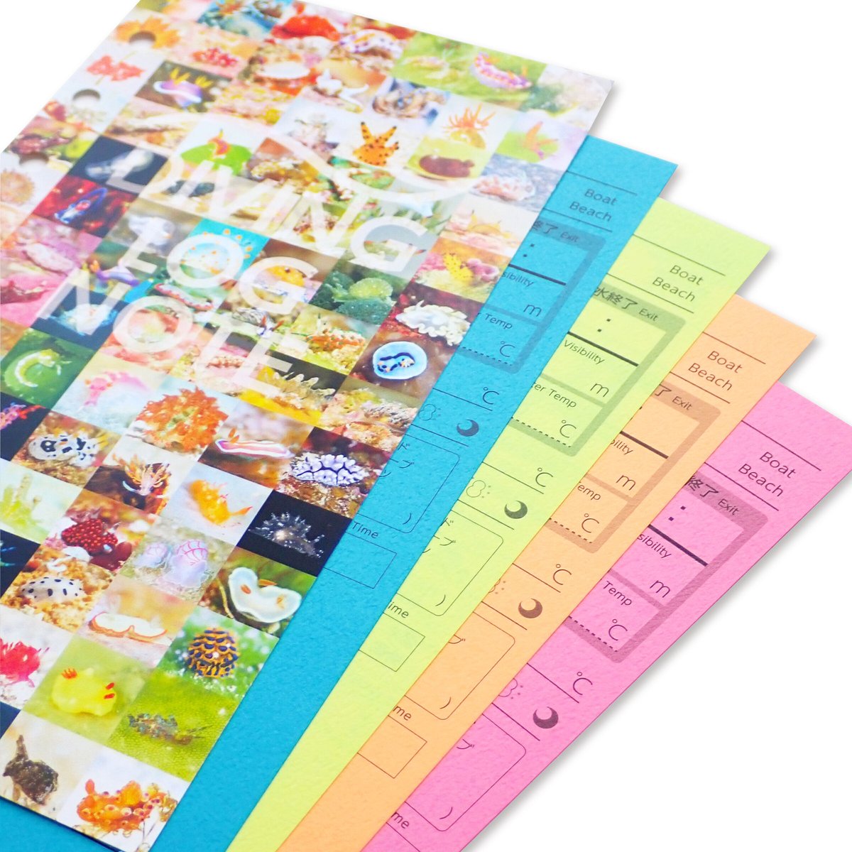 うみうし出品 fit=scale-down,w=1200